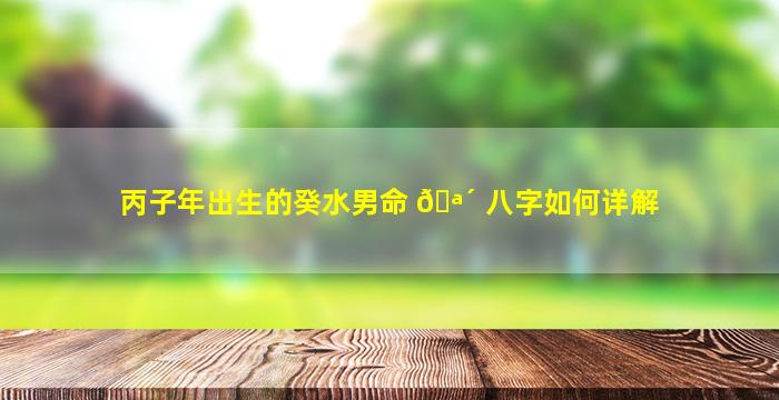 丙子年出生的癸水男命 🪴 八字如何详解